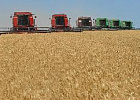 Россельхознадзор о способах повысить качество зерна Россельхознадзор о способах повысить качество зерна